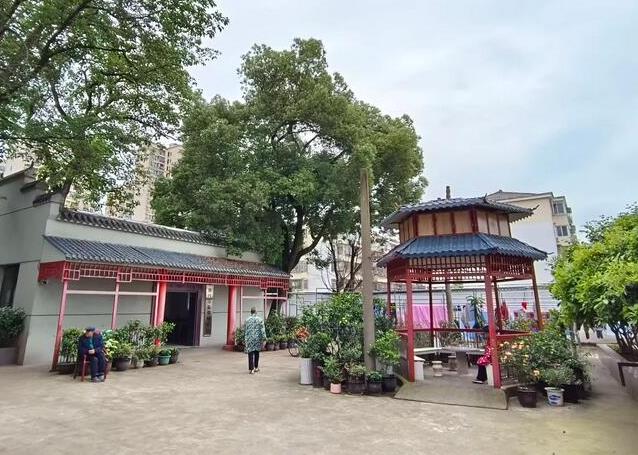南昌养老院《岁月的抉择：六种养老方式之思》